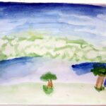 nature-of-the-winsford-flashes